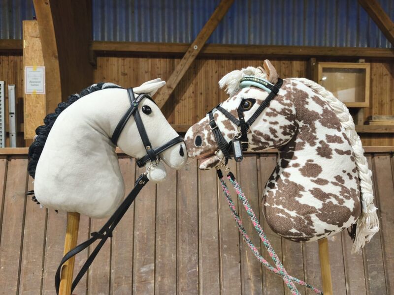 hobby-horsing-vom-steckenpferd-zum-trendsport