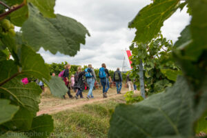 Castell im Herbst erleben