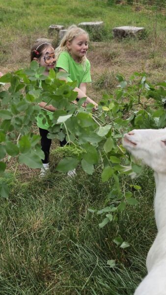 kunterbuntes-familienfest