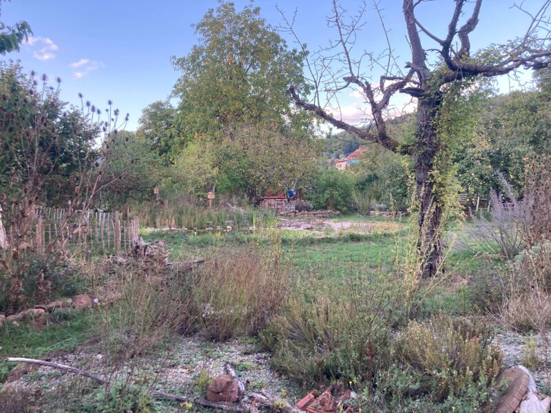 der-vogelfreundliche-garten-als-personliches-schutzgebiet