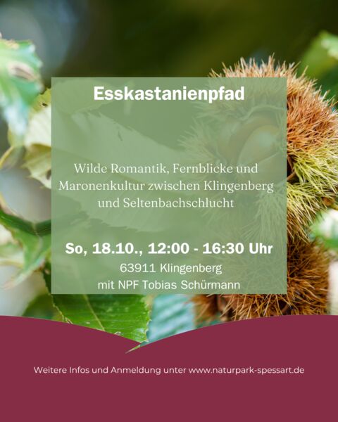 esskastanienpfad