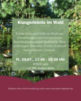 Klangerlebnis im Wald
