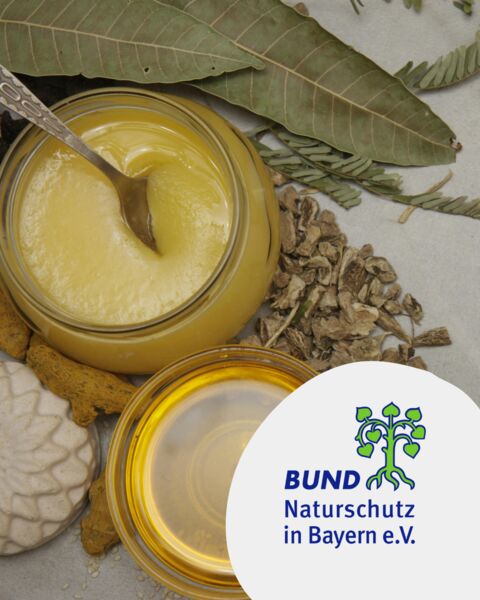 gold-aus-dem-glas-honig-fur-genuss-pflege-und-kleine-wehwehchen-workshop