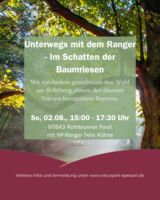 Unterwegs mit dem Ranger - Im Schatten der Baumriesen