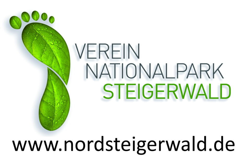 monatstreffen-verein-nationalpark-steigerwald