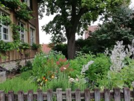 NaturgartenTour 2026: Themenführung 