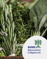 Ein Garten voller Heilkräfte - Führung im Kräutergarten des Klosters Oberzell und anschließende Fragerunde rund um Heilkräuter