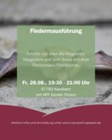Fledermausführung