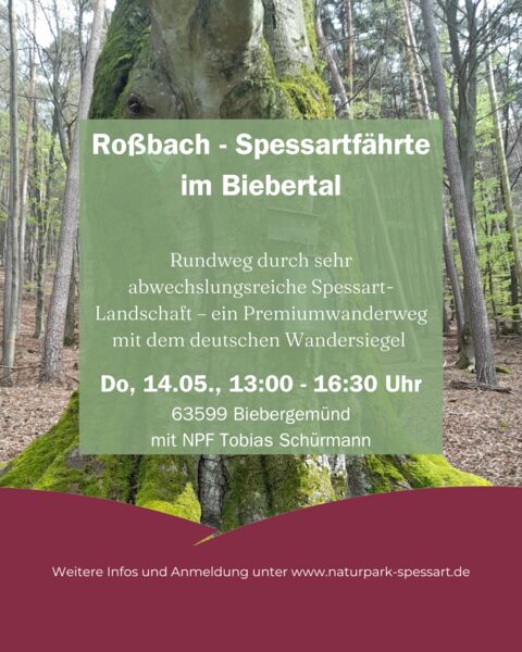 rossbach-spessartfahrte-im-biebertal