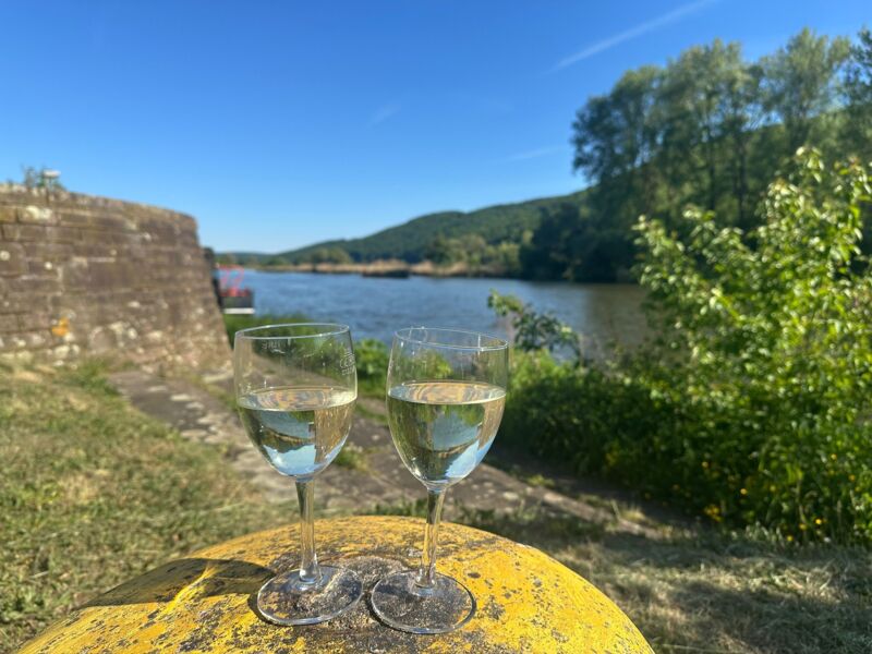 wein-am-main