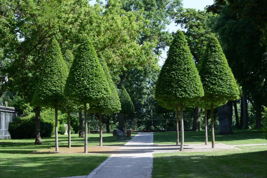 geschichte-made-by-women-ii-frauen-werden-sichtbar