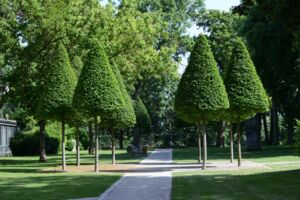 Geschichte made by women II - Frauen werden sichtbar