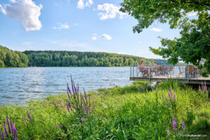 Seeführung rund um den Ellertshäuser See