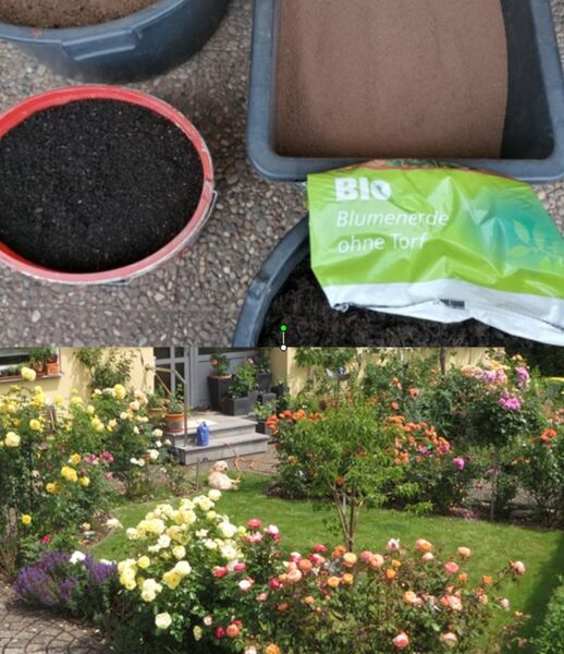 unser-garten-boden-bodenleben-humusaufbau-wasser-sparen