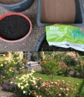 Unser Garten: Boden, Bodenleben, Humusaufbau, Wasser sparen