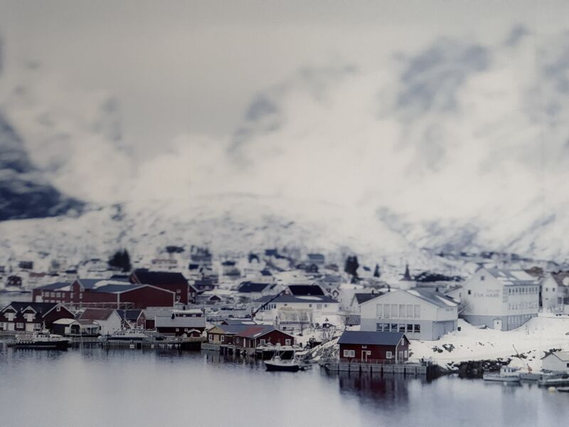 polarlichter-und-nordische-landschaften-matinee-zu-nordic-landscapes-von-rainer-wengel-kunst-trifft-steuer-xxxvii-mit-topaktuellem-thema
