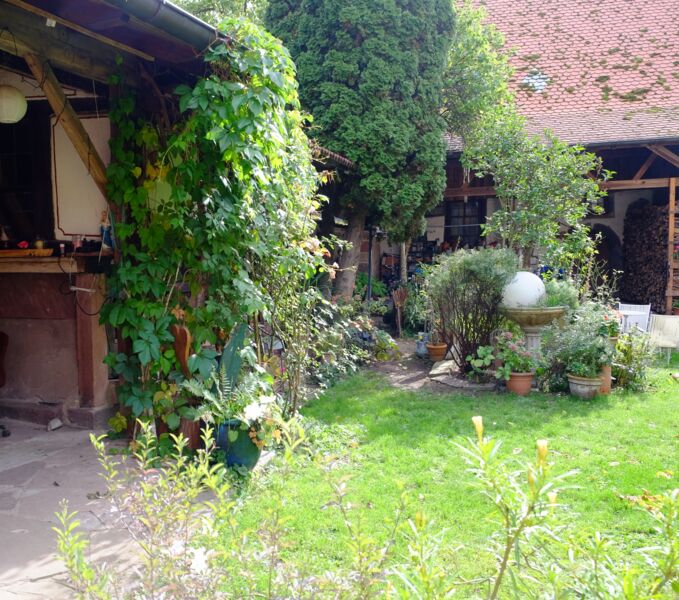 fruhstuck-im-grunen-matinee-mit-livemusik