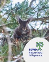 Leben im Winterwald - Für Familien mit Kindern ab 6 Jahren
