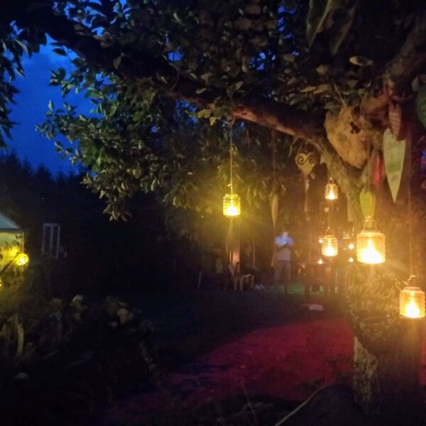 garten-bei-nacht