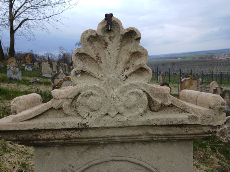 fuhrung-auf-dem-judischen-friedhof-huttenheim