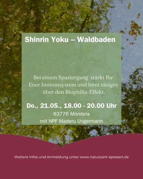 shinrinyoku-waldbaden