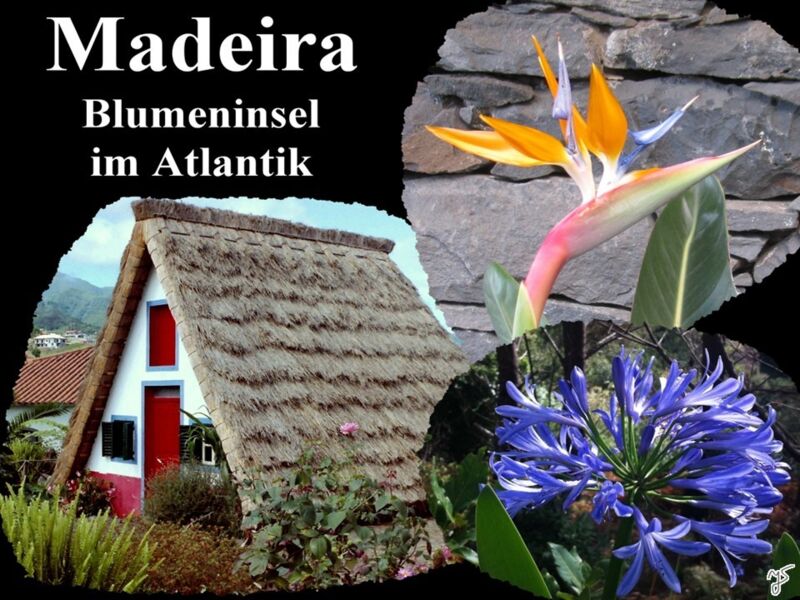 madeira