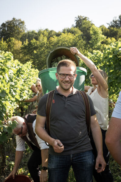 weinlese-hautnah-in-castell-erleben