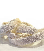 Verena Friedrich CURRENTS OF SILENCE. Objekte/Bilder/Installation