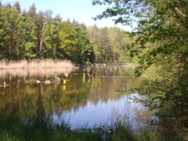 Rund um Uehlfeld im Aischgrund, wo die Stösche klappern