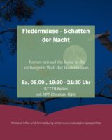 Fledermäuse, die Schatten der Nacht