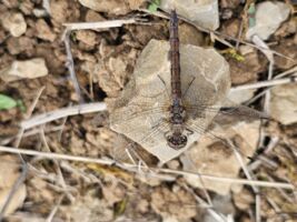 Biosphäre erleben und verstehen - Geführte Feierabendtour mit Ranger Volker Bauer