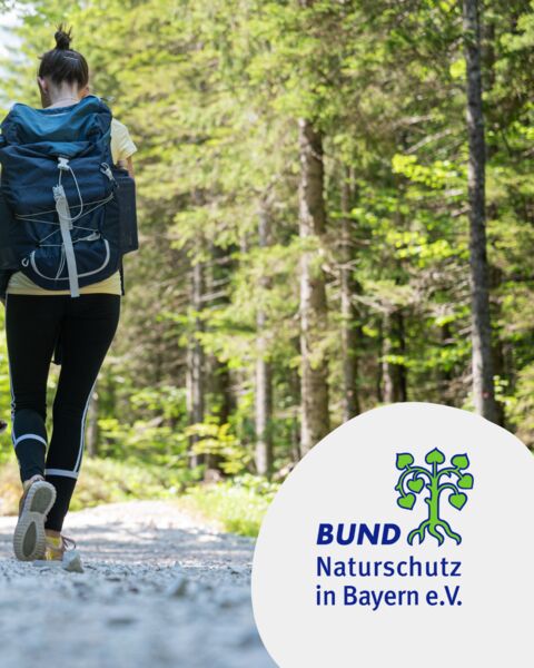 naturerlebnis-auenwald-am-schweinfurter-mainbogen-kulturokologische-wanderung