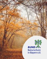 Exkursion zu den Waldameisen - Führung im Wald bei Holzkirchen