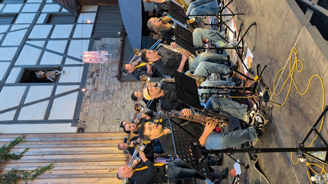 sommerkonzert-alle-neune-ft-cold-fire-die-dead-horse-big-band