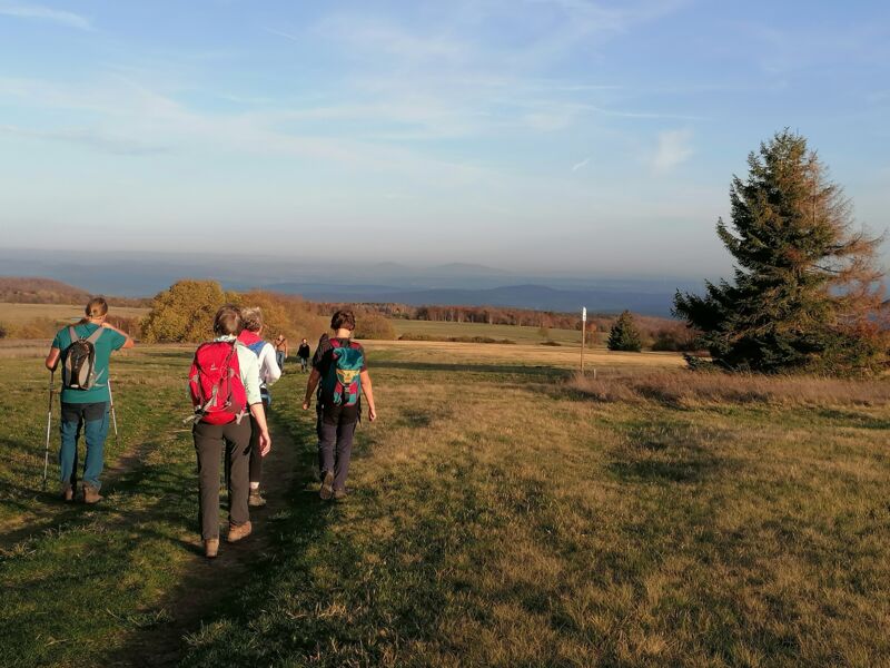 wanderung-fur-singles-u50-rhon-heidelstein