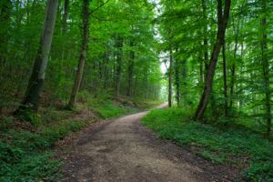 Spaziergang für Trauernde