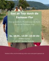 Esel on Tour durch die Eschauer Flur