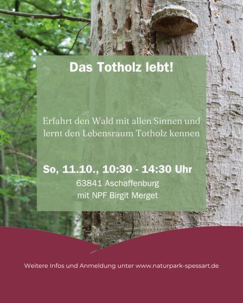 das-totholz-lebt
