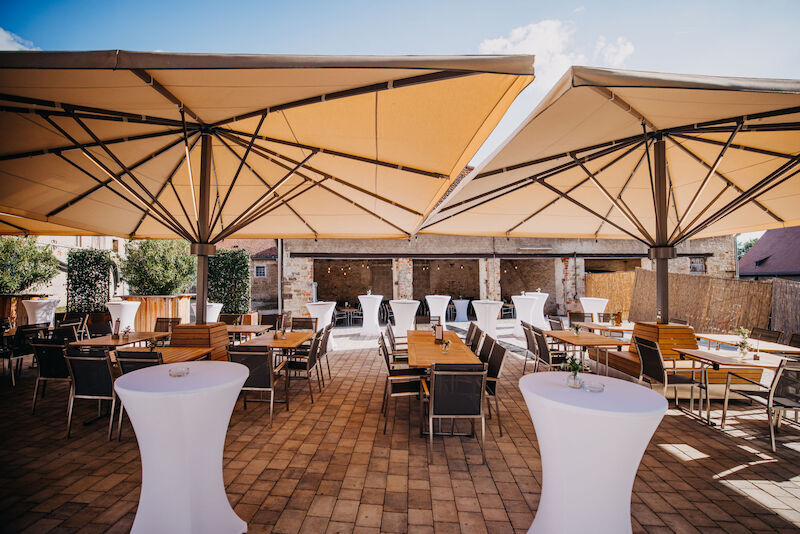 mozartfest-sommer-bbq-exklusiver-auftakt-zum-konzert-des-ukulele-orchestra-of-great-britain