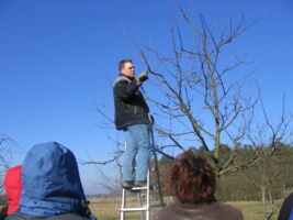 Schnittkurse für Obstbäume und Sträucher / Gehölze