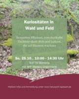 Kuriositäten in Wald und Feld