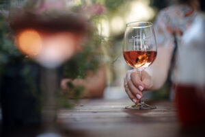 Veitshöchheim entdecken... wie es kaum jemand kennt