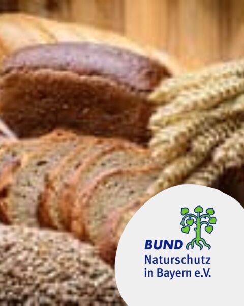krume-kruste-kostlich-zu-besuch-in-der-vollkornbackerei-kohlers-betriebsbesichtigung