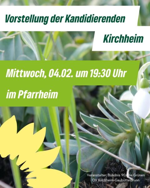 vorstellung-der-kandidaten-zur-gemeinderatswahl-am-8-marz-in-kirchheim