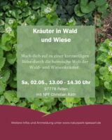 Kräuter in Wald und Wiese