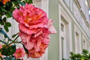 Romantischer Spaziergang durch die nördliche Altstadt