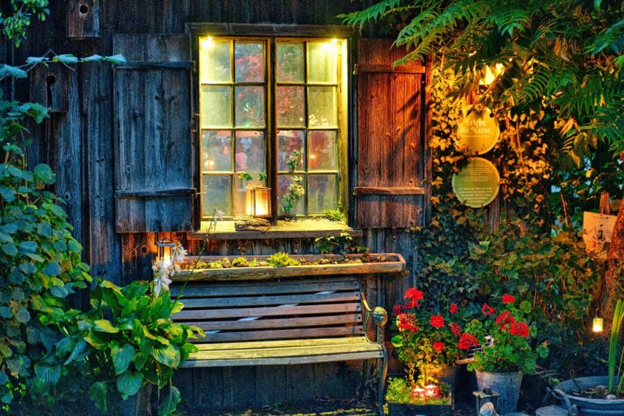 garten-bei-nacht