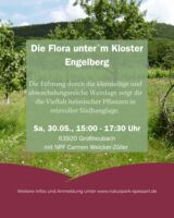 Die Flora unter´m Kloster Engelberg
