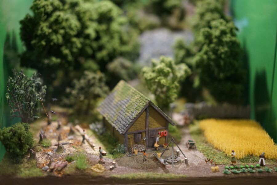 offentliche-fuhrung-im-biospharenzentrum-haus-der-langen-rhon