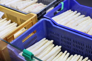 35. Unter- und Oberfränkischer Spargeltag